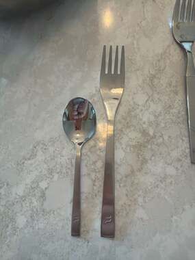 Fortessa Dragonfly Stainless‎ Steel Flatware Fork and Spoon Set